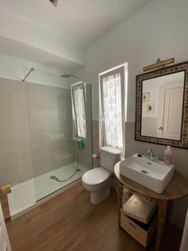 een badkamer met een toilet, een wastafel en een douche bij La casa de Alejandra, planta alta. in Perales del Puerto