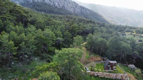 a house in the middle of a mountain with trees at Doğanın İçinde Lüks Jakuzili Balayı Bungalovu(роскошное шале с джакузи) in Kumluca
