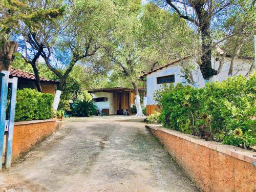 an empty road in front of a house with trees at Blu Med in Palinuro