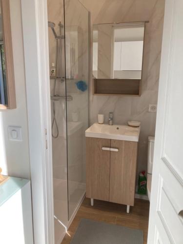 une salle de bain avec douche et lavabo dans l'établissement Studio grasse sud, à Grasse