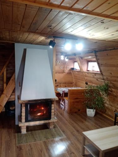 ein Wohnzimmer mit einem Kamin in einer Blockhütte in der Unterkunft Chatka pod lasem in Jarnołtówek