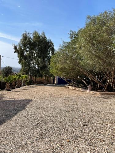 a gravel driveway with trees in the background at Dar Volubilis spacieuse villa avec piscine, 5 chambres vue sur forêt in Essaouira