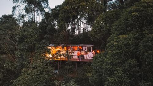 a house with lights in the middle of a forest at Ônibus Retrô - Domingos Martins/ES in Domingos Martins