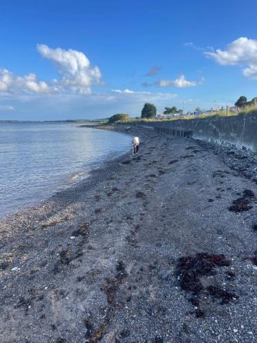 a person standing on a beach near the water at Loch View 30 in Stranraer