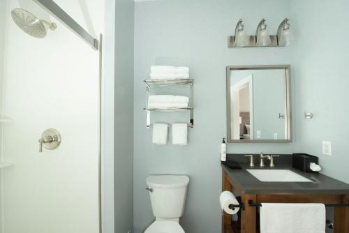ein Badezimmer mit einem Waschbecken, einem WC und einem Spiegel in der Unterkunft The Y On Broadway in Jim Thorpe