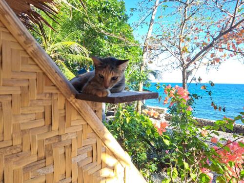 a cat sitting on the ledge of a house at Paseo Del Mar Seaside Inn in Jagna