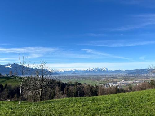 uma colina verde com montanhas cobertas de neve à distância em Chalet Vinzenz, Bildstein- mit privatem Ski- und Fahrradraum em Bildstein