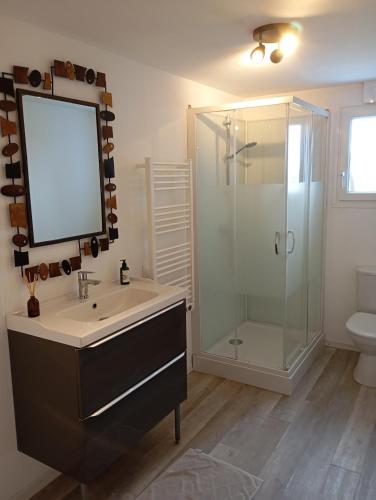 une salle de bain avec un lavabo et une douche dans l'établissement Le gîte du Galou, à Sully