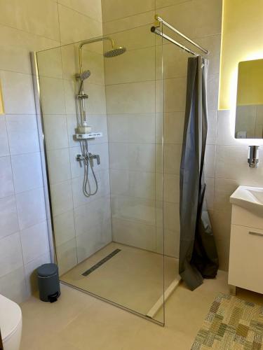 a shower with a glass door in a bathroom at AD BASANTE in Bosanski Šamac