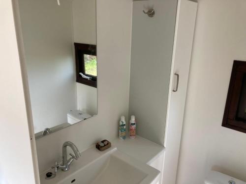 a bathroom with a sink and a mirror at Tiny house CC4 - it Soal Workum in Workum