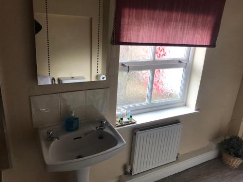 a bathroom with a sink and a window at The Apple House in York