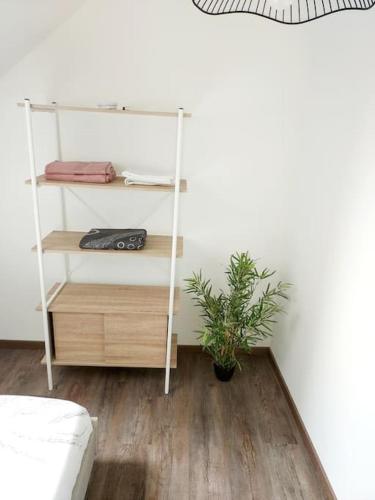 um quarto com uma prateleira branca e uma planta em T2 cosy vieux Montluçon em Montluçon