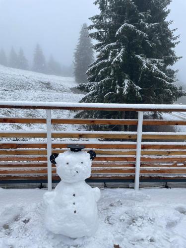 Un homme de neige assis dans la neige à côté d'une clôture dans l'établissement Appartement au pied des pistes avec grande terrasse, à Orbey
