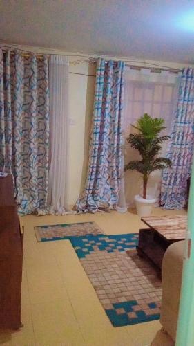 納庫魯的住宿－NIKIFLATS，客厅配有窗帘和盆栽