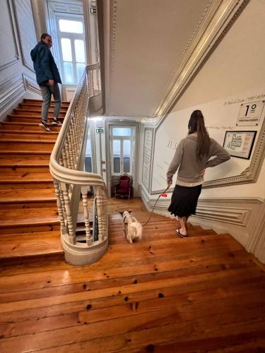 Domácí mazlíčci ubytovaní s hosty v ubytování Serenata Hotel & Hostel Coimbra