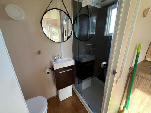 een kleine badkamer met een wastafel en een spiegel bij Briggs Bluff View in Dadswells Bridge