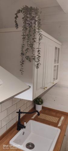 ポテンツァ・ピチェーナにあるJoka B&B e Home Foodのギャラリーの写真