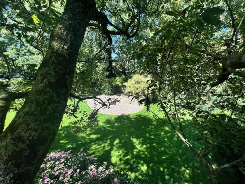 HoogwoudにあるDream apartmentsのギャラリーの写真