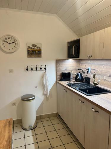 uma cozinha com um lavatório e um fogão forno superior em Bella Mura Nature Apartment Lipa 97 em Podčetrtek