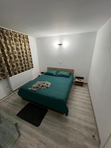 Tempat tidur dalam kamar di Casa Dragoeni, Targu Jiu