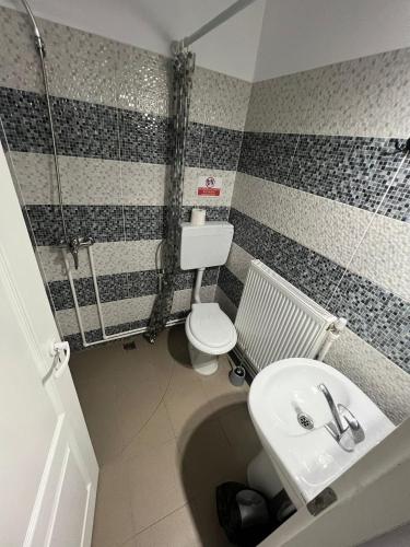 a bathroom with a sink and a toilet at Casa Dragoeni, Targu Jiu in Târgu Jiu