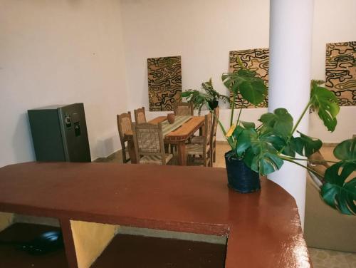 ein Esszimmer mit einem Tisch und Stühlen mit einer Pflanze in der Unterkunft Calli Cintli in Tepoztlán