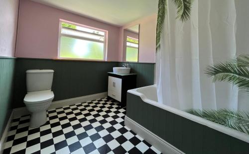 uma casa de banho com um WC e uma banheira em Reenard South seaview country cottage em Cahersiveen