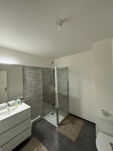 une salle de bain avec douche et lavabo dans l'établissement 2 pièces standing entre Disneyland et Paris, à Neuilly-Plaisance