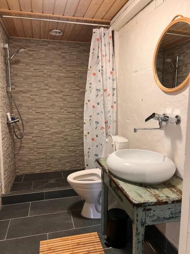 a bathroom with a toilet and a sink and a shower at Charmerende stråtag strå hus (med Vildmarksbad) in Give