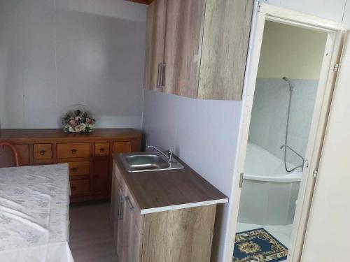 a small kitchen with a sink and a shower at Rózsás Motel in Mikepércs