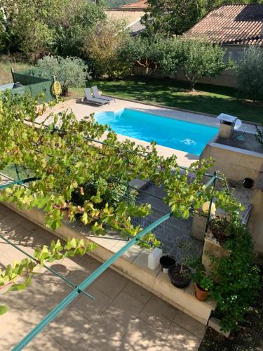 een uitzicht over een zwembad met planten ernaast bij Appartement Jas du Cassoir BRAS-D'ASSE in La Bégude-Blanche