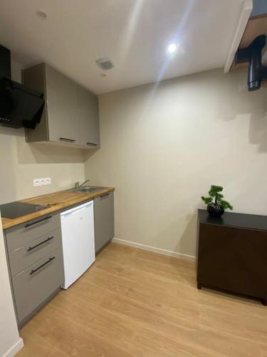 une cuisine vide avec évier et comptoir dans l'établissement Duplex sur Nice - Libération, à Nice