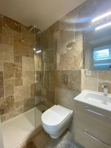 une salle de bain avec toilettes, douche et lavabo dans l'établissement Duplex sur Nice - Libération, à Nice