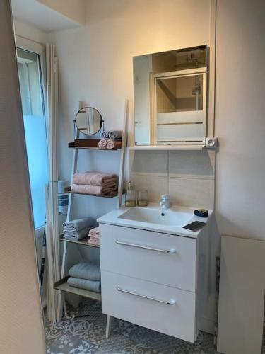 a small bathroom with a sink and a mirror at Gaité 4 personnes in Paris