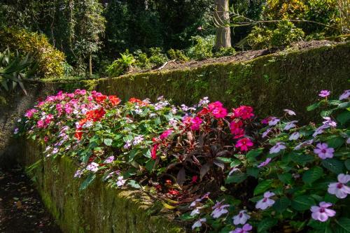 a garden with pink and purple flowers on a stone wall at Mountain Wonders Chalet in Monteverde Costa Rica