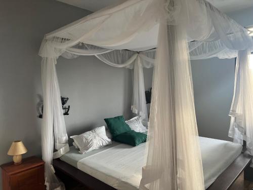 a bedroom with a canopy bed with white curtains at Villa Melissa97- Bât2 Superbe coin à Dzamandzar in Ambondrona