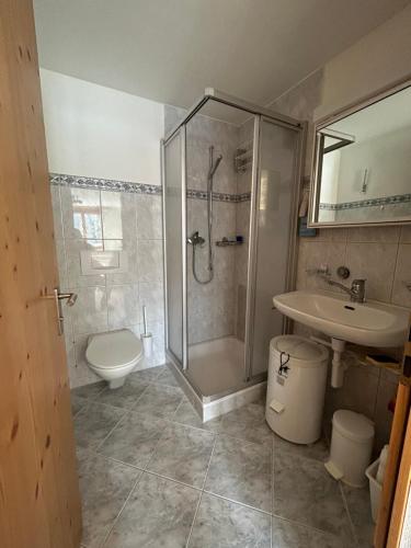 ein Bad mit einer Dusche, einem WC und einem Waschbecken in der Unterkunft The Window to the Mountains in Arosa
