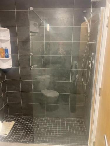 a bathroom with a shower with a toilet in it at Marina Apartment Kinsale in Cork