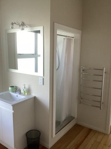uma casa de banho com um chuveiro, um lavatório e um espelho. em Robyn's Nest em Sentry Hill
