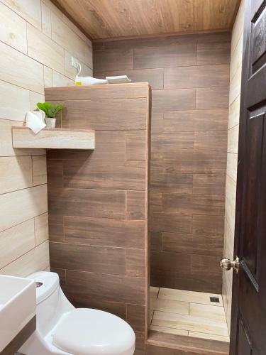 a bathroom with a toilet and a wooden wall at Apartamentos H Gonzalez. Wifi A/C free parking in San Rafael