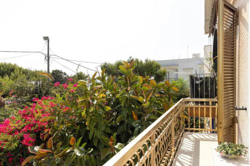 a balcony with a bunch of plants and flowers at LA CALETTA HOME in Villanova di Ostuni