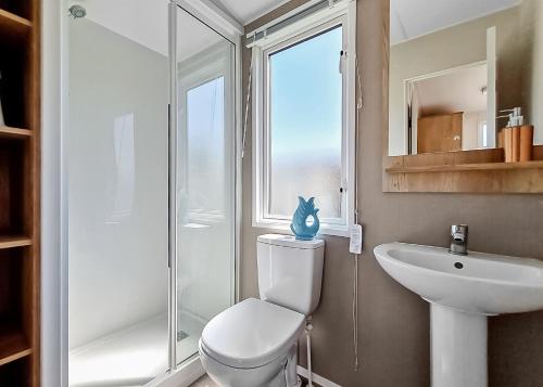 a bathroom with a toilet and a sink and a window at Towervans Caravan Park in Mablethorpe