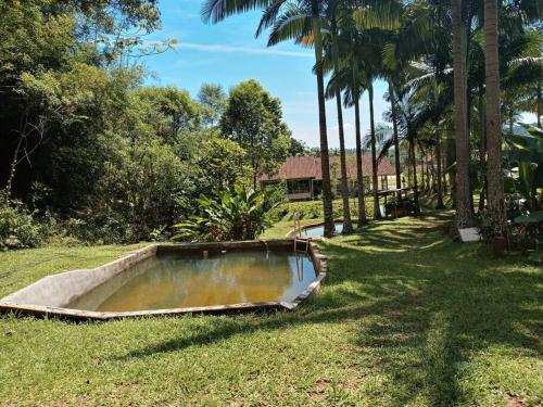 a small pool of water in a yard with palm trees at casa do lago, paz e sossego. in Guaramirim