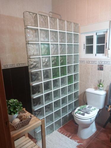 a bathroom with a toilet and a glass wall at Casa Villa El Olivar in Huelva