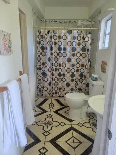 a bathroom with a toilet and a shower at Exquisite Home away from Home! in Kingstown