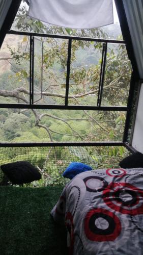 vistas a una ventana con una cama y un pájaro en Cabaña Natura GREEN, en Líbano