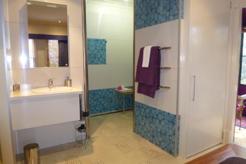 a bathroom with a sink and a shower at The Retreat at Froog Moore Park in Tamworth