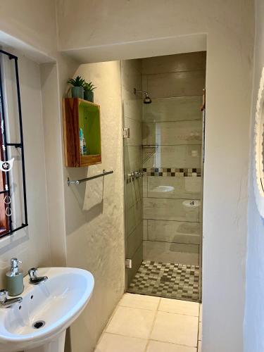 a bathroom with a glass shower and a sink at Green Hollow Self catering in Knysna