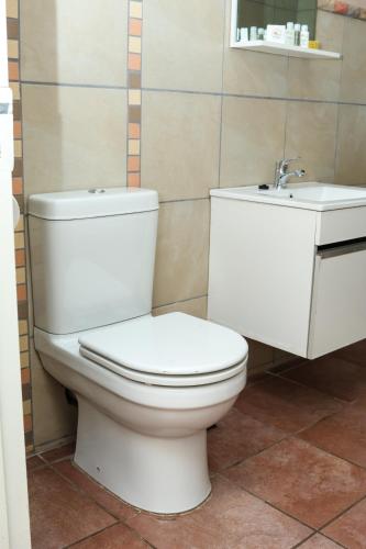 a bathroom with a white toilet and a sink at Thaba Legae Guest Lodge in Rustenburg