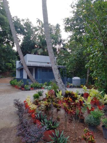 a garden with flowers in front of a building at Sambranikodi Lagoongate Resorts in Perumanseri